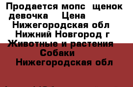 Продается мопс (щенок-девочка) › Цена ­ 7 500 - Нижегородская обл., Нижний Новгород г. Животные и растения » Собаки   . Нижегородская обл.